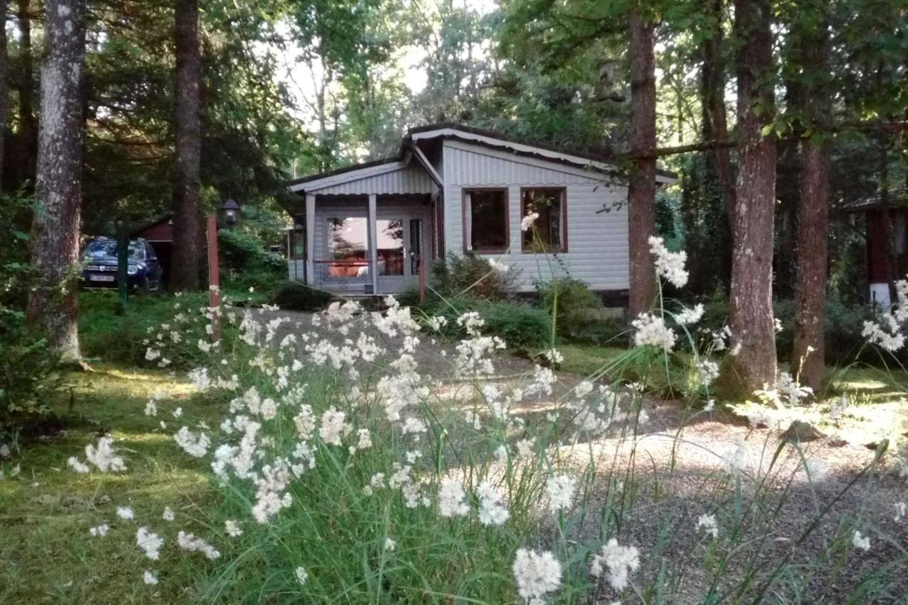 Chalet Siesta Is Rust & Natuur In Durbuy - Barvaux-Sur-Ourthe Kültér fotó